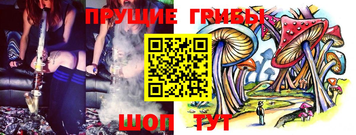 Псилоцибиновые грибы GOLDEN TEACHER Заринск