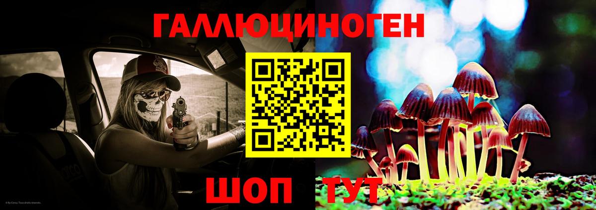 Галлюциногенные грибы Psilocybine cubensis  Вход с VPN  Заринск 