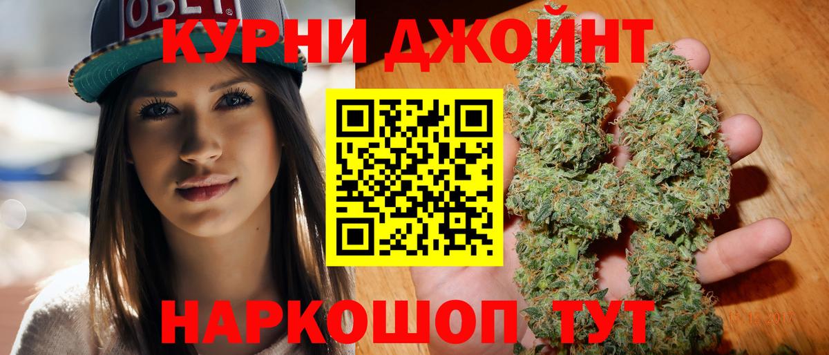 Бошки Шишки планчик Заринск
